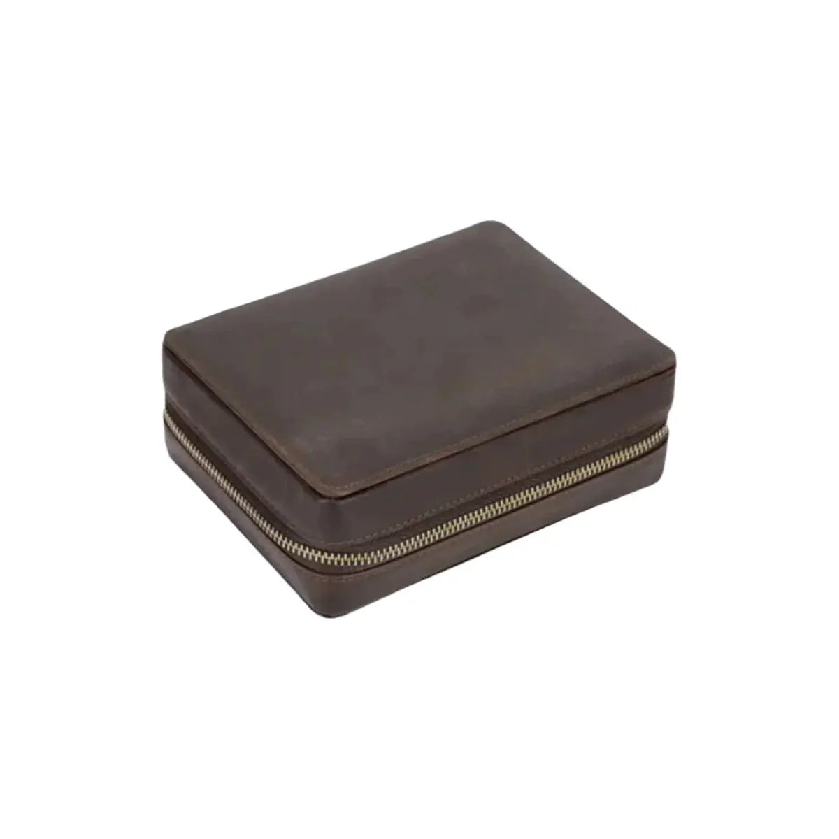Azul protective travel case for watch collectors